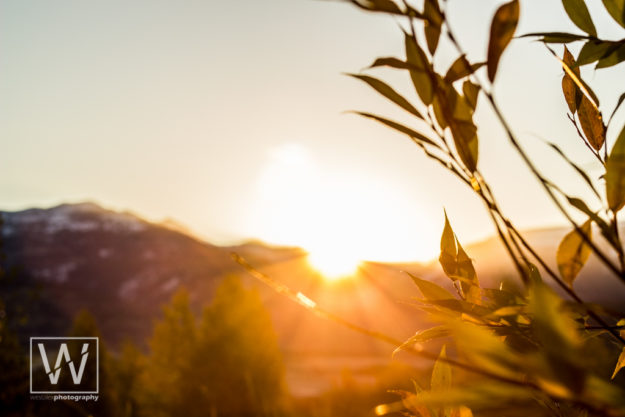 westonschindler-fine-art-teton-national-park-9