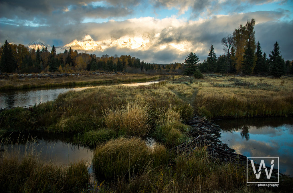 The Grand Teton National Partk